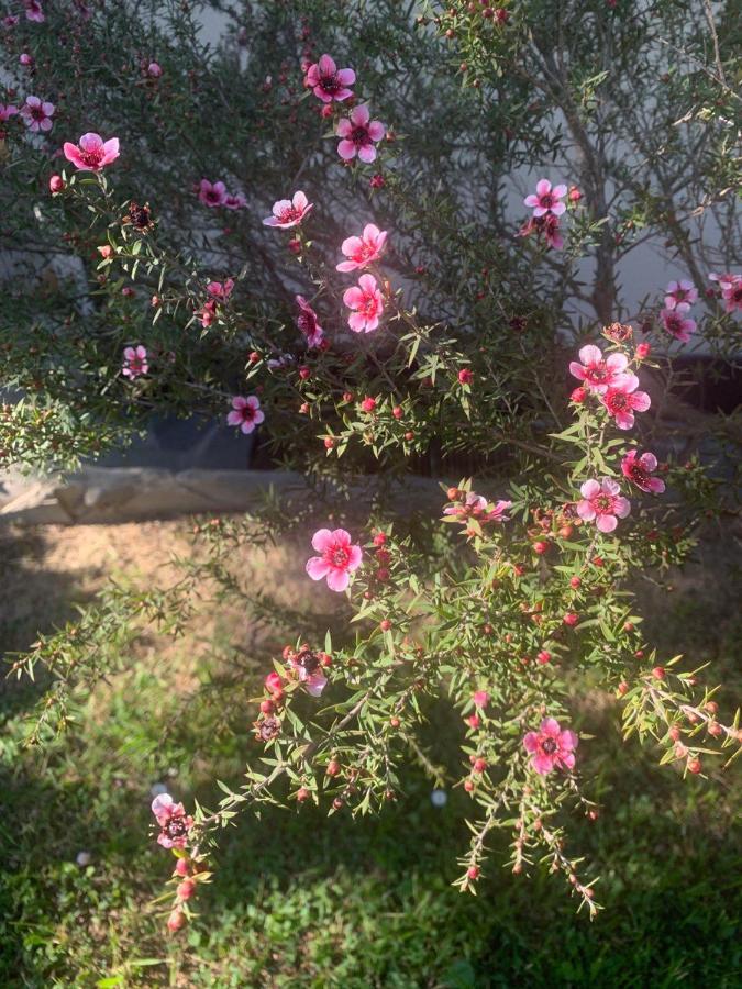 B&B Monte Di Portofino Santa Margherita Ligure Eksteriør bilde
