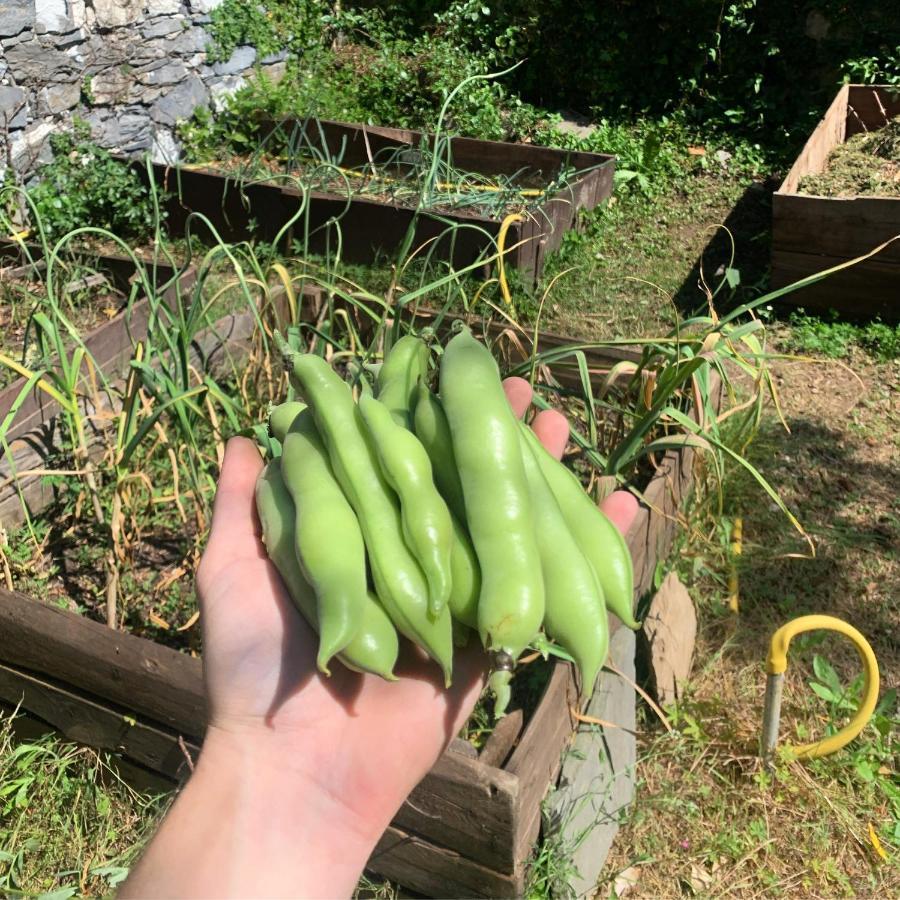 B&B Monte Di Portofino Santa Margherita Ligure Eksteriør bilde